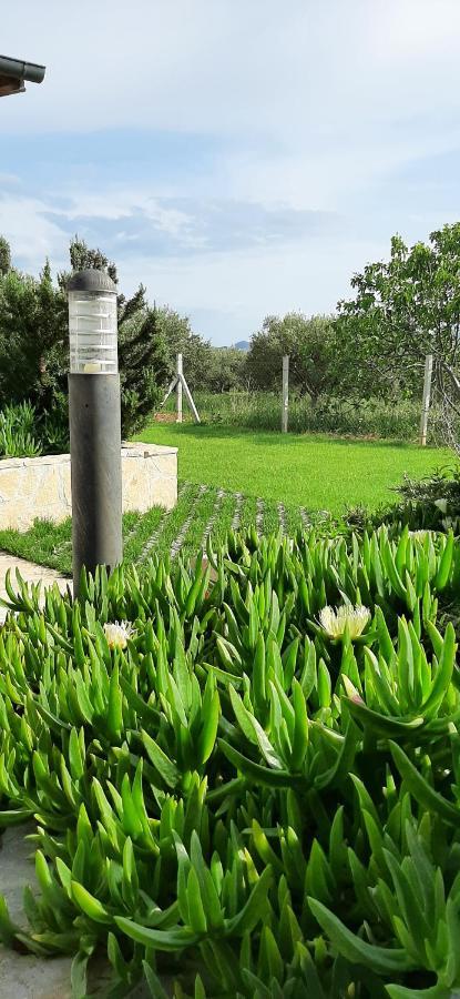 Mobile Homes Kamp Maslina, Biograd Na Moru Exterior foto