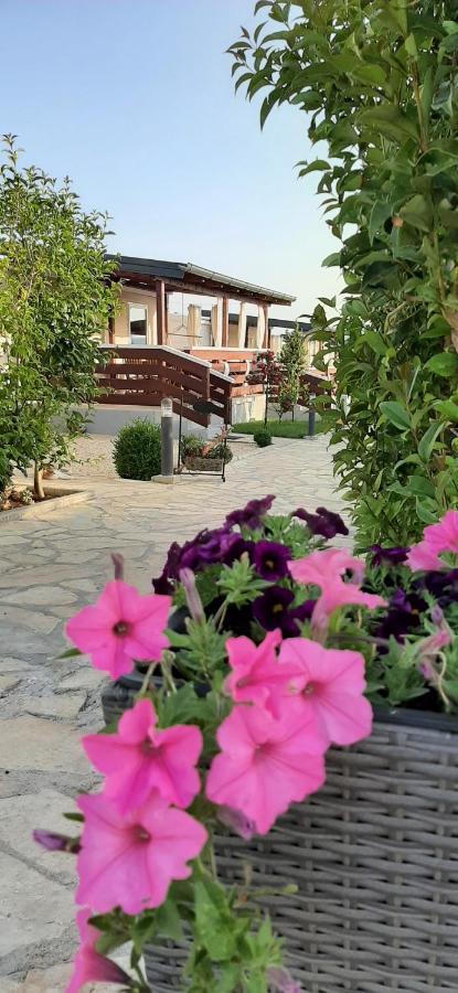Mobile Homes Kamp Maslina, Biograd Na Moru Exterior foto
