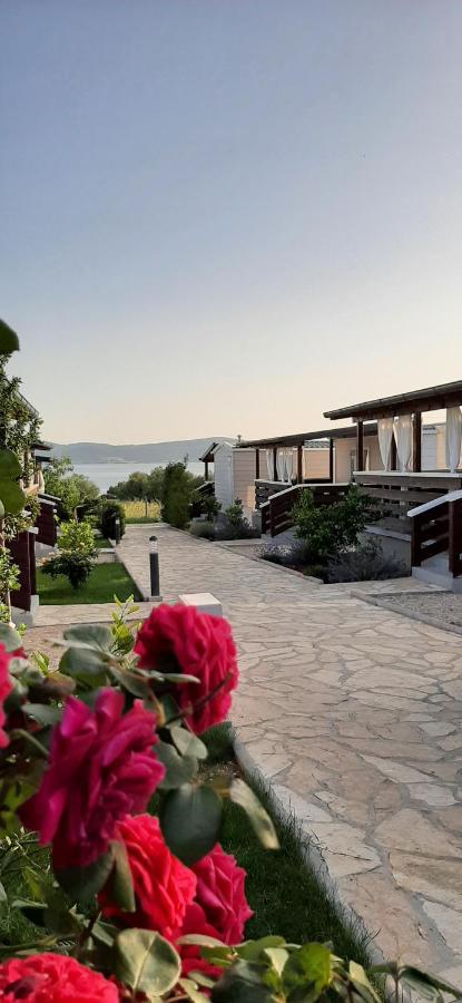 Mobile Homes Kamp Maslina, Biograd Na Moru Exterior foto