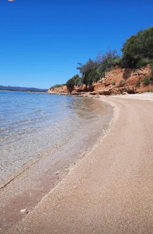 Mobile Homes Kamp Maslina, Biograd Na Moru Exterior foto