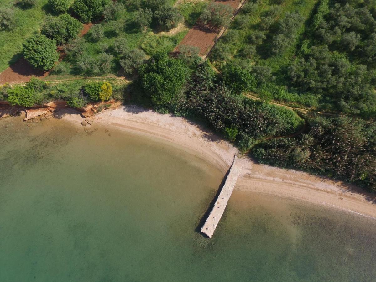 Mobile Homes Kamp Maslina, Biograd Na Moru Exterior foto